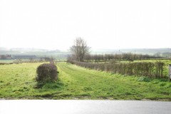 BB-view-from-terrace 2