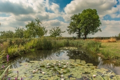 site-pond-2