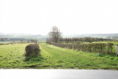 BB-view from terrace-2