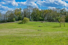 Heuvelland-mei-2021-58