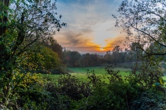 Heuvelland-november-2020-110