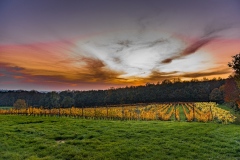 Heuvelland-november-2020-115