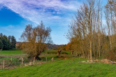 Heuvelland-november-2020-57